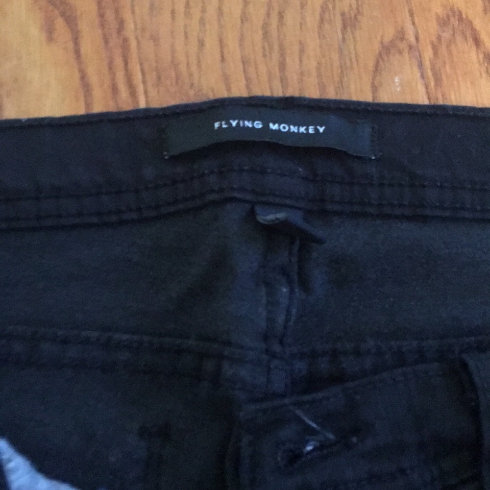 Flying Monkey - image 2